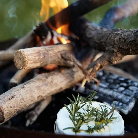 Tiny House Olive - Bain Nordique - Intime Cysoing